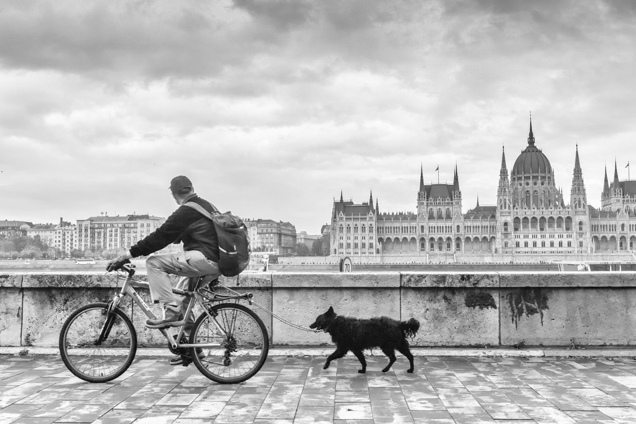 Two on the Danube, Jed Smith, jedsmithart.com, black and white photography, solitude