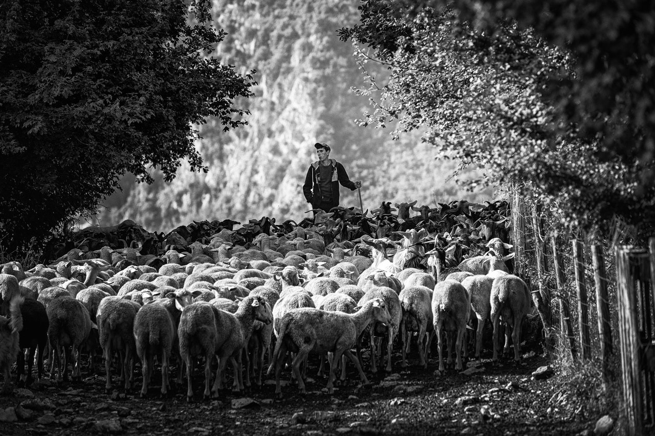 The Gathering, Jed Smith , jedsmithart.com, black and white photography