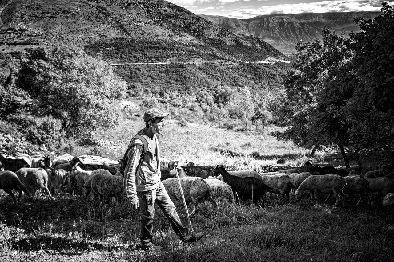 His Flock, Jed Smith, jedsmithart.com, black and white photography, solitude